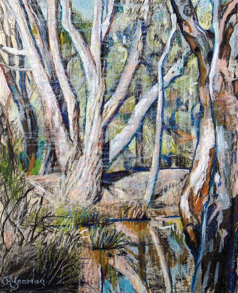 Afternoon Light - End of Lane Dam